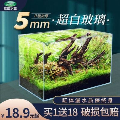 佳路魚缸是森森魚缸嗎怎么樣：佳璐魚缸和森森魚缸各有千秋