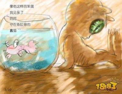 魚缸里的故事語言：魚缸的故事語言