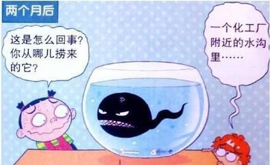 魚缸里的故事語言：魚缸的故事語言