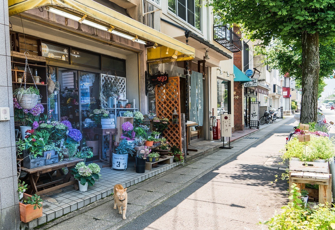 興化市龍家觀賞魚店