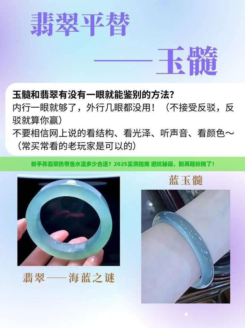 <strong><mark>白玉</mark></strong>紅龍魚飼養技巧有哪些？（關于<strong><mark>白玉</mark></strong>紅龍魚飼養的問題）