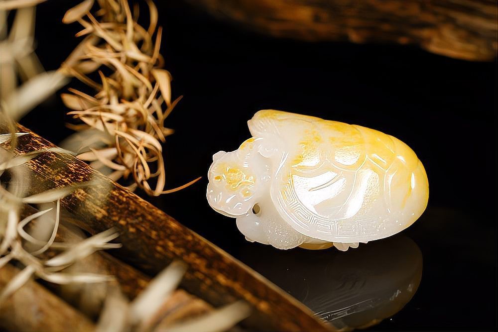 龍龜圖片100張