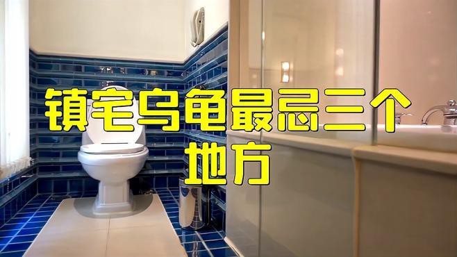 龍龜擺放衛生間有哪些禁忌