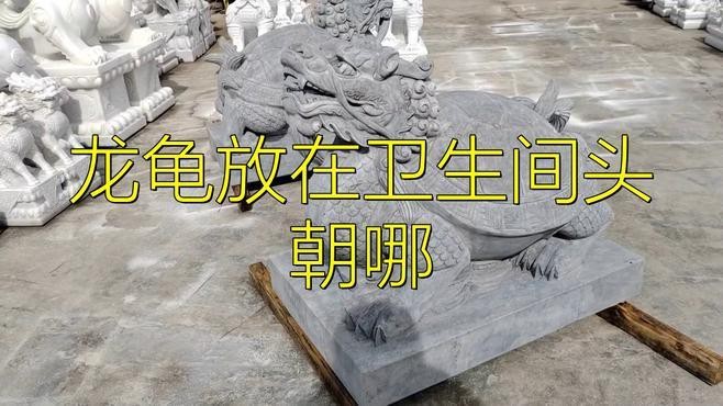 龍龜擺放衛生間有哪些禁忌