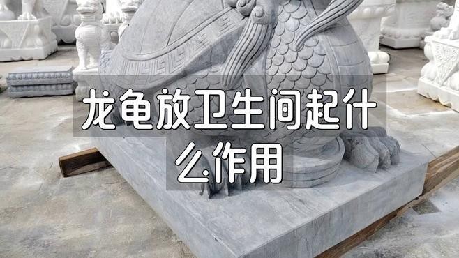 龍龜擺放衛生間有哪些禁忌
