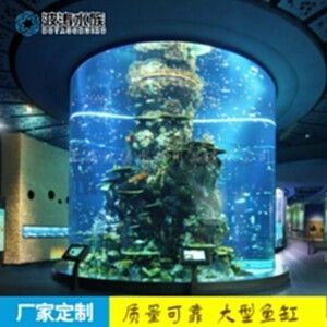 海水魚缸的日常維護和保養步驟：海水魚缸的日常維護和保養方法：海水魚缸日常維護和保養方法