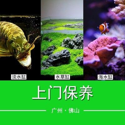 海水魚缸的日常維護和保養步驟：海水魚缸的日常維護和保養方法：海水魚缸日常維護和保養方法