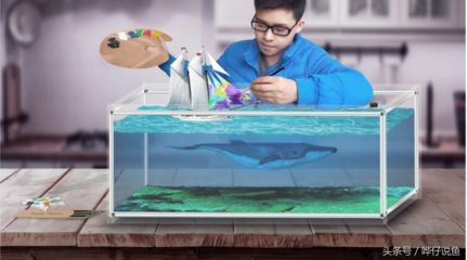 魚缸換水的三大禁忌（魚缸換水的三大禁忌主要包括以下幾個方面以下幾個方面）