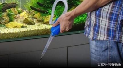 魚缸換水的三大禁忌（魚缸換水的三大禁忌主要包括以下幾個方面以下幾個方面）