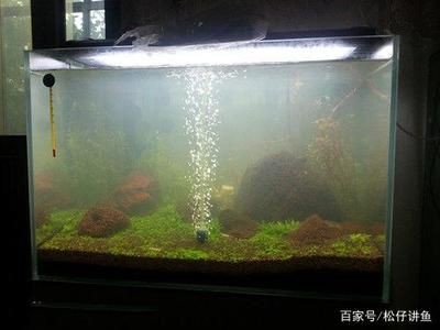 魚缸過(guò)濾材料的選擇指南：魚缸過(guò)濾、生物過(guò)濾、生物過(guò)濾和化學(xué)過(guò)濾材料擺放建議