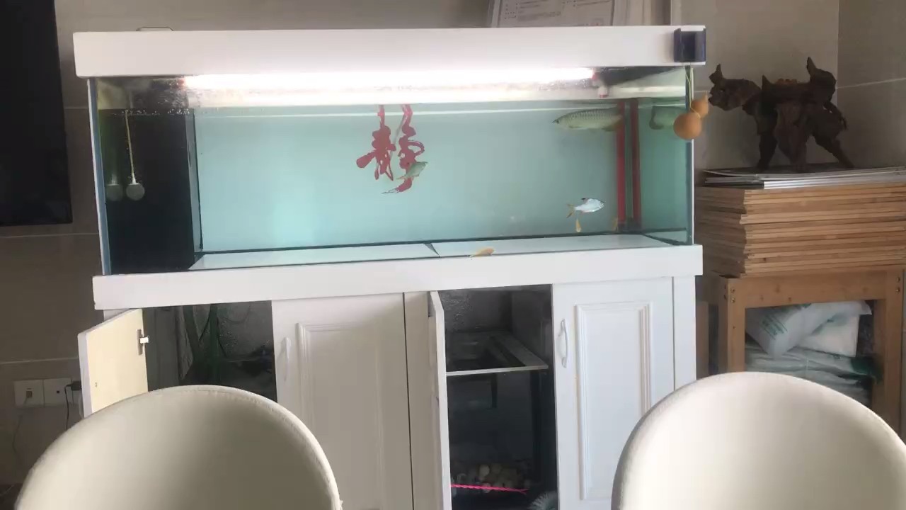 給它換換水，狀態慢慢上來了