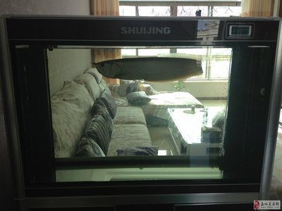 中山市大涌鎮(zhèn)旗洋水族館（中山市大涌鎮(zhèn)旗洋水族館電話）