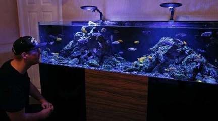 魚缸排名前十名有哪些：2024年魚缸排名前十名