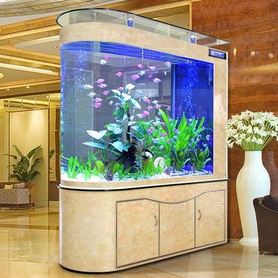 觀賞魚缸高端大氣：觀賞魚缸的高端大氣特點