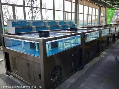 魚缸底濾的設計與創新：底濾魚缸過濾圖展示