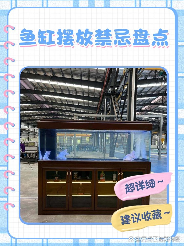 魚缸高度風水禁忌 魚缸高度風水禁忌 龍魚論壇 第2張
