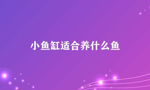 小魚缸還可以養什么：適合在小魚缸中養殖的幾種寵物
