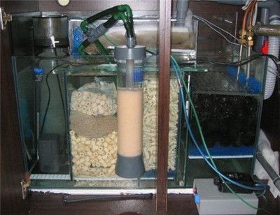 魚缸水質管理全攻略了解如何正確管理魚缸過濾材料：底濾魚缸過濾材料更換頻率取決于多個因素以及于多個因素