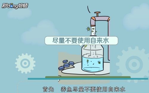 魚缸里的水應該用什么水：關于魚缸用水的一些詳細信息
