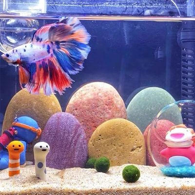 魚缸里的彩石：魚缸彩石品牌對比魚缸彩石的重要性，魚缸彩石擺放方式
