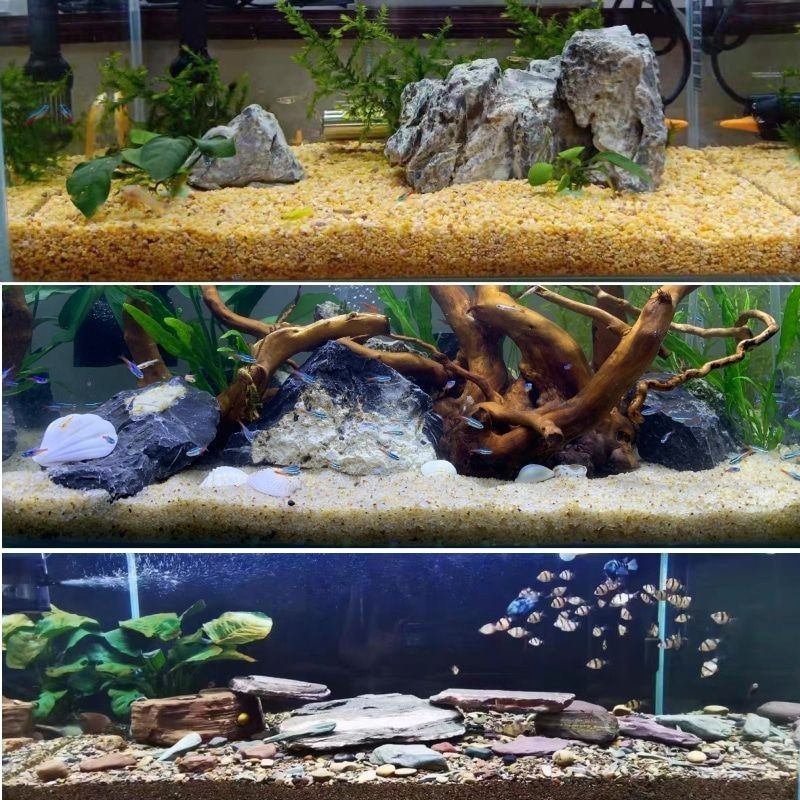 魚缸里的彩石：魚缸彩石品牌對比魚缸彩石的重要性，魚缸彩石擺放方式
