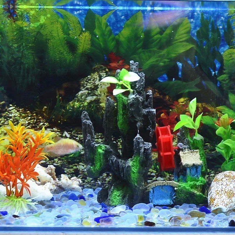 魚缸里的彩石：魚缸彩石品牌對比魚缸彩石的重要性，魚缸彩石擺放方式