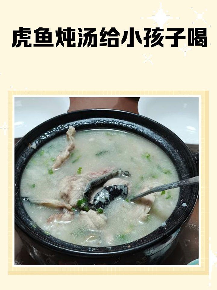 虎魚湯的功效與作用 龍魚論壇 第1張 虎魚湯的功效與作用 虎魚湯的功效與作用 龍魚論壇 第1張