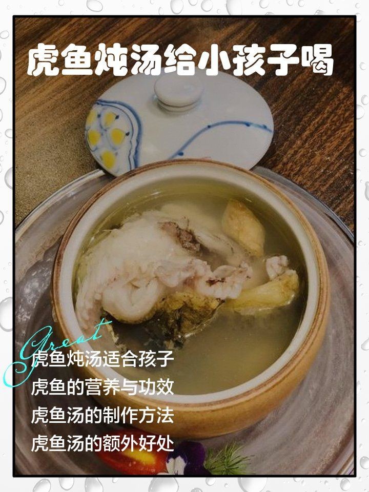 虎魚湯的功效與作用 龍魚論壇 第8張 虎魚湯的功效與作用 虎魚湯的功效與作用 龍魚論壇 第8張