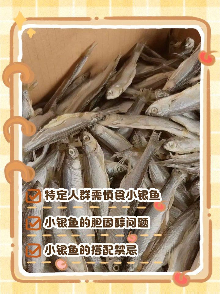 紅勾銀版魚最忌三種東西