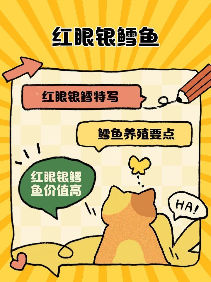紅勾銀版魚最忌三種東西