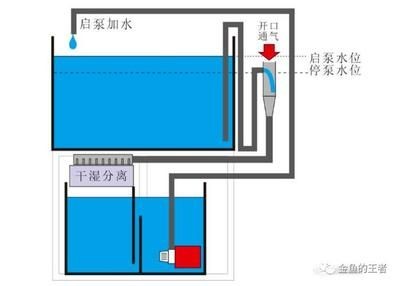 虹吸魚缸水循環裝置的使用：虹吸魚缸水循環示意圖制作步驟和注意事項