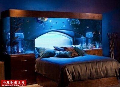 富豪家的魚缸類型或者樣式建議您了解更多的專業(yè)資料或者咨詢相關(guān)的專業(yè)人士：富豪家的魚缸是什么樣子的？ 富豪家的魚缸類型或者樣式建議您了解更多的專業(yè)資料或者咨詢相關(guān)的專業(yè)人士：富豪家的魚缸是什么樣子的？ 魚缸百科 第2張