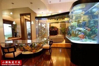 富豪家的魚缸類型或者樣式建議您了解更多的專業(yè)資料或者咨詢相關(guān)的專業(yè)人士：富豪家的魚缸是什么樣子的？ 富豪家的魚缸類型或者樣式建議您了解更多的專業(yè)資料或者咨詢相關(guān)的專業(yè)人士：富豪家的魚缸是什么樣子的？ 魚缸百科 第1張