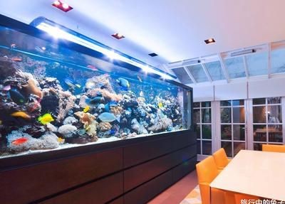 富豪家的魚缸類型或者樣式建議您了解更多的專業(yè)資料或者咨詢相關(guān)的專業(yè)人士：富豪家的魚缸是什么樣子的？ 富豪家的魚缸類型或者樣式建議您了解更多的專業(yè)資料或者咨詢相關(guān)的專業(yè)人士：富豪家的魚缸是什么樣子的？ 魚缸百科 第3張