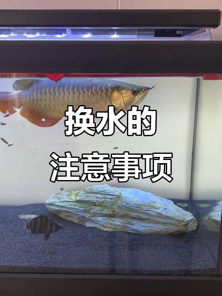 如何判斷是否需要換水？
