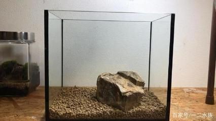 水草泥的養護秘籍水草泥的造景的藝術與技巧：水族造景的藝術與技巧