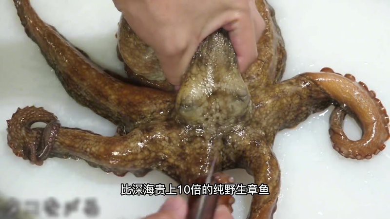 海南野生過山龍魚能吃嗎視頻講解