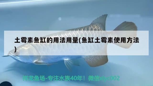 佳寶魚缸改造過濾系統：佳寶魚缸改造過濾系統改造案例，魚缸反氣舉安裝教程