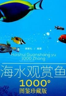觀賞魚(yú)小說(shuō)