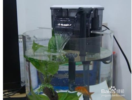 魚缸水泵不工作了怎么修視頻：“魚缸水泵不工作了怎么修視頻詳情”魚缸水泵維修安全注意事項