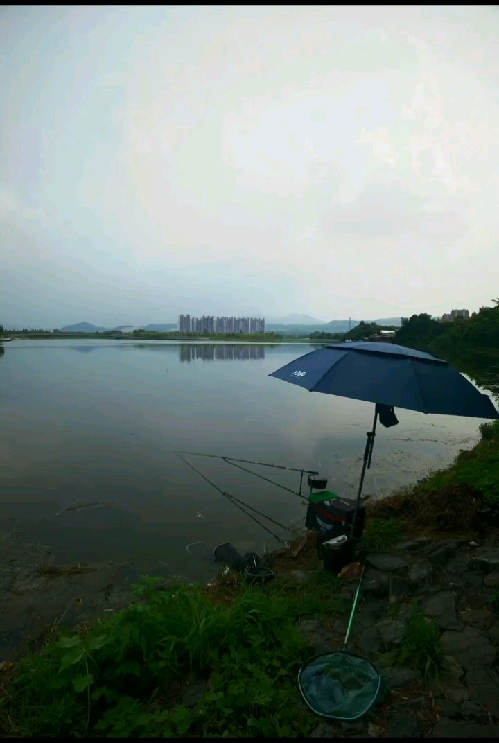我怎么感覺我在放生池呢？明明野釣