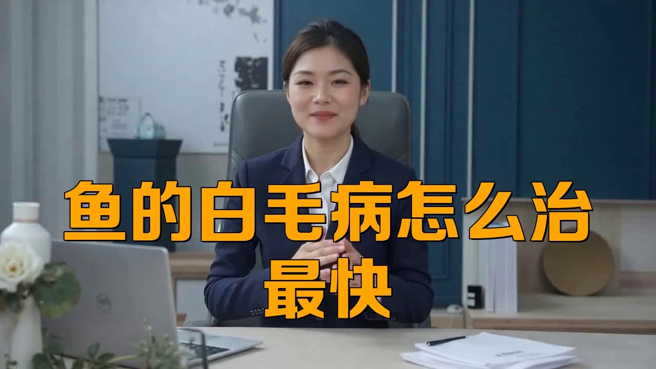 龍魚白霉病用什么藥最有效