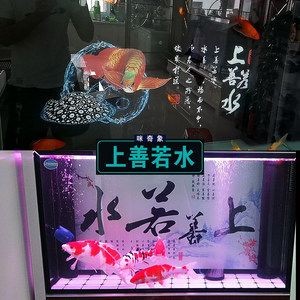 魚缸品牌有哪些名字（魚缸品牌在市場上享有較高的聲譽和良好的聲譽和良好的口碑）