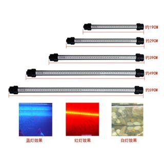 魚缸LED燈光照節能效果比較：魚缸led燈與熒光燈價格對比