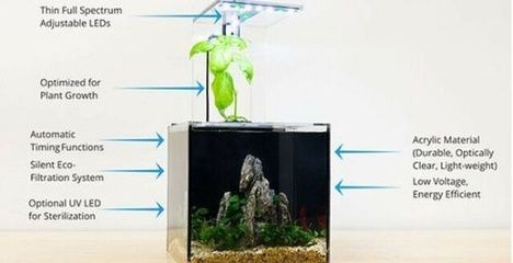魚缸LED燈光照節能效果比較：魚缸led燈與熒光燈價格對比