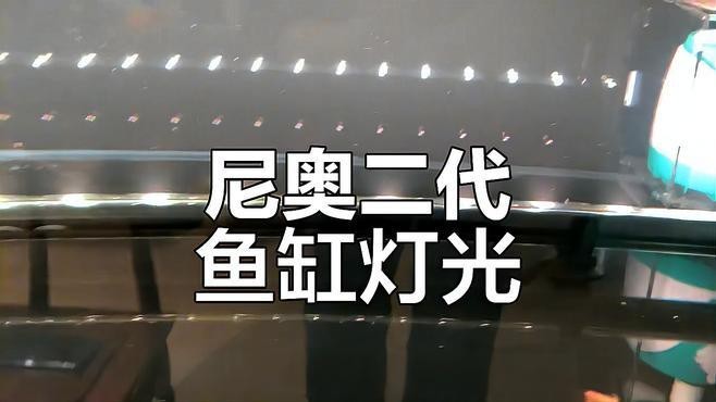 推薦幾款適合龍魚缸的潛水燈品牌