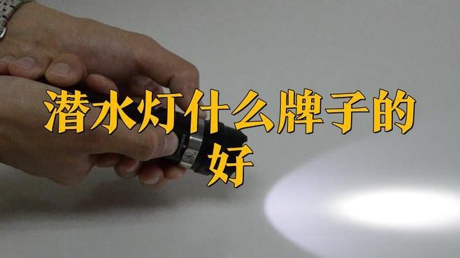 推薦幾款適合龍魚缸的潛水燈品牌