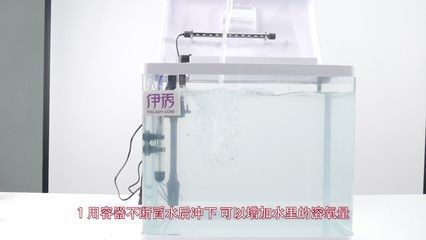 魚(yú)缸氧氣含量檢測(cè)方法：判斷魚(yú)缸中的氧氣含量是否充足需要綜合多方面因素考慮