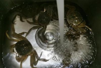 魚(yú)缸氧氣含量檢測(cè)方法：判斷魚(yú)缸中的氧氣含量是否充足需要綜合多方面因素考慮