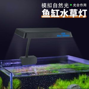 魚缸爆藻燈廠家：魚缸爆藻燈廠家選擇標準及其重要性